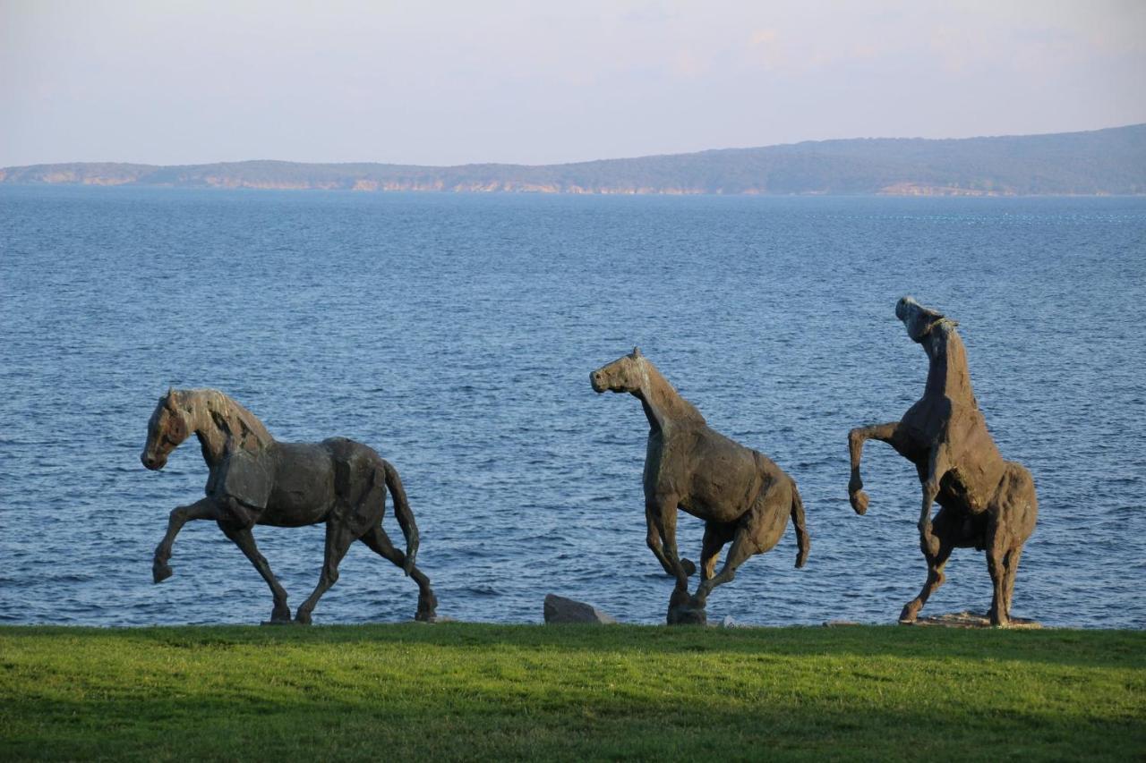 Hotel Art Complex Anel Sozopol Esterno foto