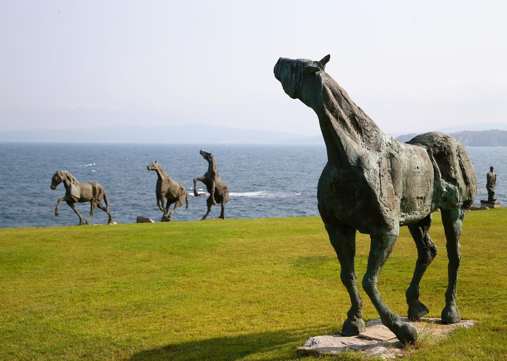 Hotel Art Complex Anel Sozopol Esterno foto